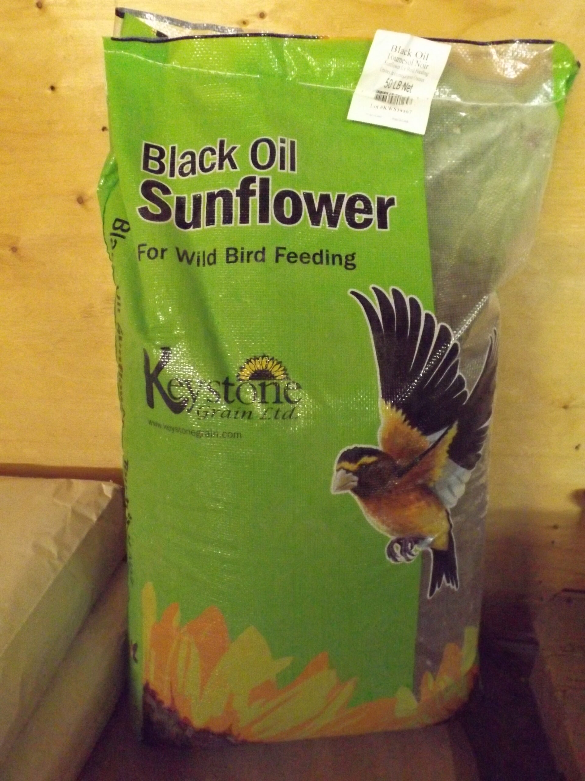 Black Oil Bird Seed Fehrway Feeds & Livestock Equipment